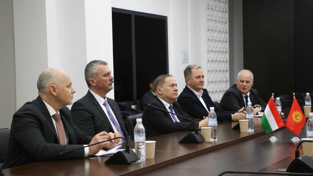 Замглавы МИД встретился с парламентской делегацией Венгрии